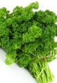 Parsley seeds Triple Curl 100 pack
