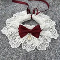 redsmall Bib Embroidery Triangle Clothes Fashionable Costume With Adjustable