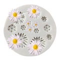 Daisy Silicone Flower Mould Daisy Cake Mould Fondant Chocolate Mould Aromather