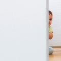 Privacy Window Film Blackout Window Film Opaque Electrostatic Window Film Priv