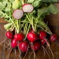 Heirloom Radish Cherrybelle Seeds