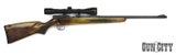 22 Winchester 320 with Scope