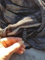 Dark Grey Body Sweatshirt