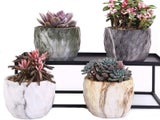 4 X Ceramic Flower Pot Garden Home Decor