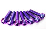 Round Torx Head Titanium Bolts In Stock