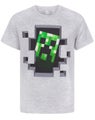 Minecraft Grey Short Sleeved T-Shirt (Boys)