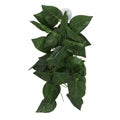 climbing pet box green vine landscaping simulation rattan landscaping crawler
