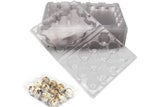 Quail egg trays 12 hole x 50 cartons