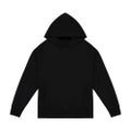 Native Spirit Unisex Adult Oversized Hoodie