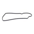 Quantum Fuel Pump Seal Gasket