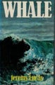 Whale by Jeremy Lucas