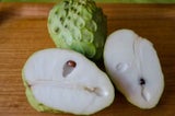Cherimoya plant - "White" - grafted