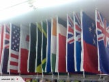 20 flags for sale at one great price
