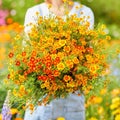 Marigold Starfire mix 50+ Seeds