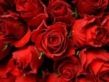 50ml Rose Fragrance oil