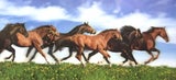 Horses 3D print, 50cm x 23cm.