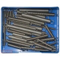 Champion 48 Piece Extension Spring Assortment – S/Steel