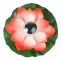 Floating Solar Pool Lights Floating Solar Lotus Flower Light Pond Pool Lamp Gard