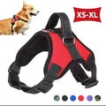 Small Size Harness with handle, safety locks and light reflection at night