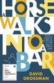 A Horse Walks into a Bar by David Grossman - Paperback