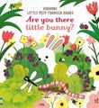 Are you there little Bunny by Sam Taplin - Board Book