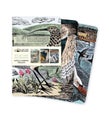 Angela Harding: Wildlife Set of 3 Mini Notebooks by Flame Tree Studio -