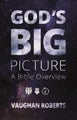 God's Big Picture by Vaughan Roberts - Paperback