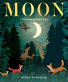 Moon: A Peek-Through Picture Book by Britta Teckentrup - Hardcover