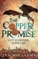 The Copper Promise (complete novel) by Jen Williams - Paperback