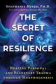 The Secret of Resilience by Stephanie Mines - Paperback