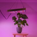 LED Growth Light Hydroponic Full Spectrum Veg Flower Plant Lamp @