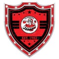 STEELERS St George Illawarra Dragons NRL Light Up Bar Sign Plaque Shield
