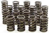 Isky Endurance Plus Dual Valve Springs with Damper (16) 1.530" OD ISK8205-PLUS