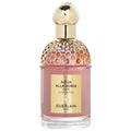 Guerlain Aqua Allegoria Forte Florabloom Eau De Parfum Spray 75ml/2.5oz