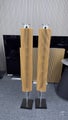 Bang & Olufsen Beosound BEOLAB 18 WiFi and Bluetooth Home Speaker New (set)