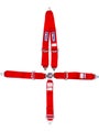 RJS Safety Harness 5 Point Camlock SFI 16.1 Pull Down Adjust Bolt-On