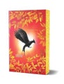 Suzanne Collins: Catching Fire (The Hunger Games #2: Deluxe Edition)