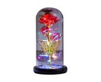 Eternal Rose Flower Romantic Attractive with Wood Pedestal Galaxy Fairy Dome
