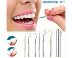 6pcs1 Set Toothpick Set Metal Stainless Steel Oral Cleaning Tooth Flossing Po