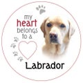 Golden Labrador Piece of My Heart Magnet (Set of 2)