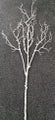 White Imitation Branches