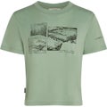 icebreaker Women's Merino 150 Tech Lite SS The Climb Crop Tee