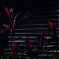 FINE PLACE - This New Heaven