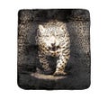 Assorted Soft 3D Animal Print Faux Mink Blanket Queen Leopard