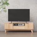Entertainment Unit