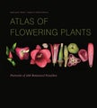 Atlas of Flowering Plants by Ingeborg M. Niesler - Hardcover