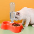 1 Pieces Plastic Cat Dog Food Water Bowl Set Double Pet Food Bowl Dog Dishe