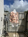 Size 12 - "Whistle" top in good condition!