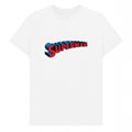 Superman Unisex Adult Official Graphic Logo