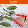 Gardening Straight Scissors Stainless Steel Garden Pruning Shears Plants Trim